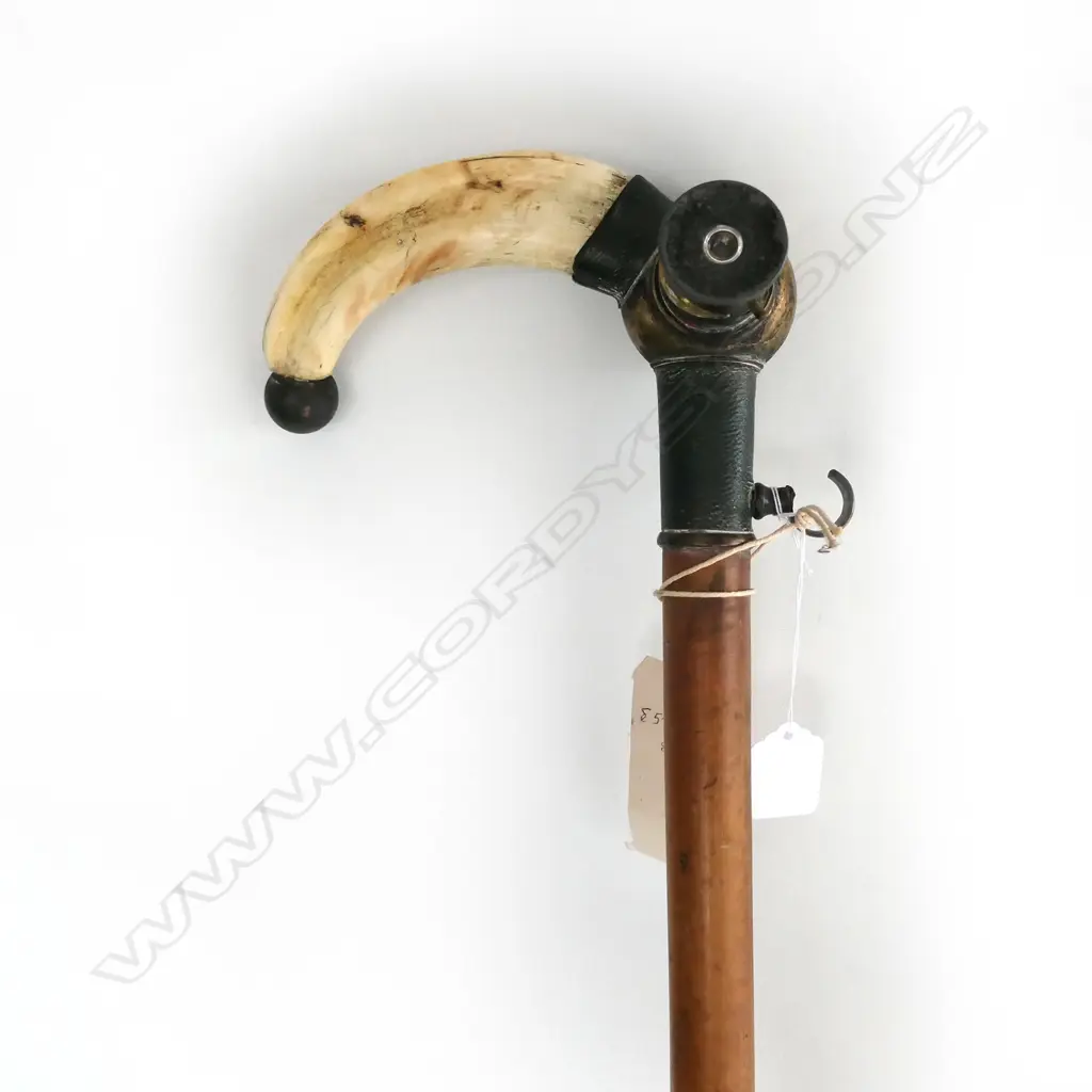 RARE WALKING CANE w MICROSCOPE INSET HIPPO TUSK HANDLE Image 1++